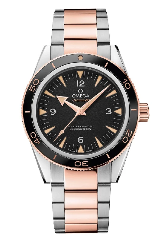 Omega Seamaster Seamaster 300 233.20.41.21.01.001