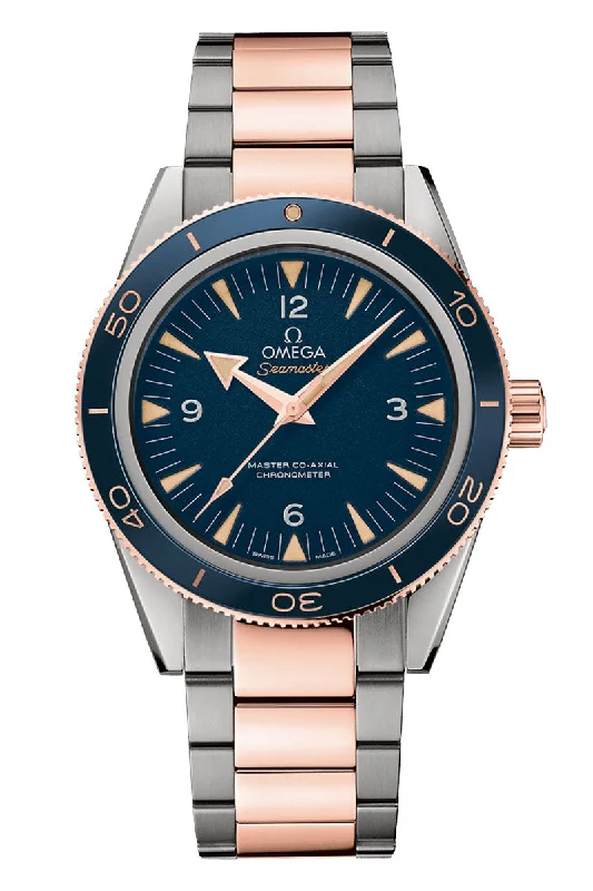 Omega Seamaster Seamaster 300 233.60.41.21.03.001